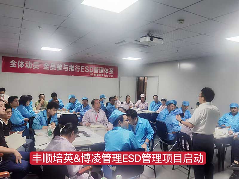 博凌管理為Tier1車載供應商培英電聲公司導入ESD管理系統，提升產品質量穩定可靠性